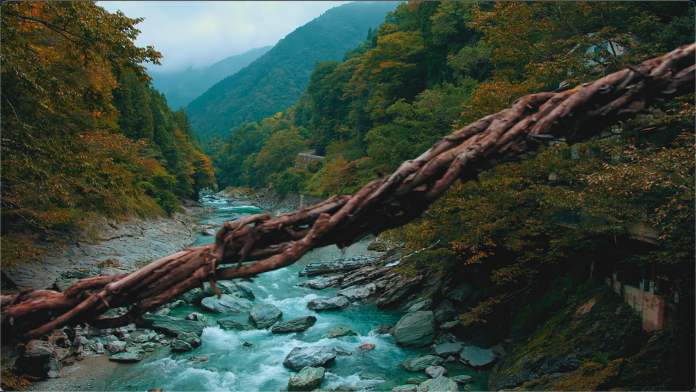 日本三大秘境 祖谷の秘境とかずら橋 4K风景 第3张